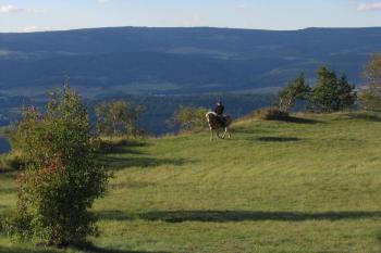 Výhled na Krušné hory (© Ivana Poláková 04/2006)