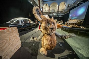  (© Muzeum Liberec  05/2023)