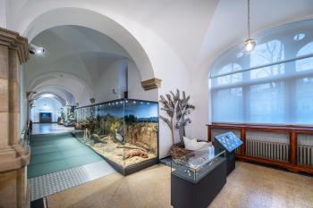  (© Muzeum Liberec  05/2023)
