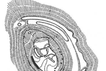 Půdorys hradu podle J. Úlovce (© T. Durdík: Ilustrovaná encyklopedie českých hradů, Libri, Praha 2000)