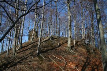 Pohled na hradiště ( © Petr Nožička 10/2008)
