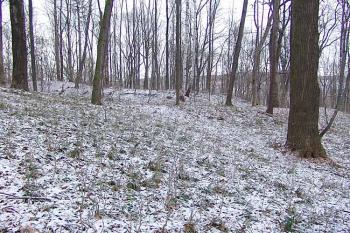 Pohled na tvrziště od jihu ( © Roman Řezáč 12/2005)