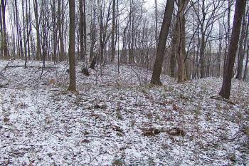 Jihovýchodní polovina tvrziště ( © Roman Řezáč 12/2005)