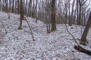 Zbytek příkopu na severu ( © Roman Řezáč 12/2005)