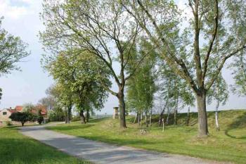 Pohled na místo předpokládané tvrze ( © Aleš Marek 05/2006)