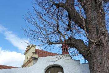 Kostel svatého Matouše ( © František Kinař 05/2017)