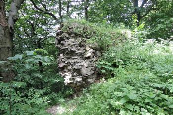 Zřícenina hradu Homole (© aleshwarrior, 06/2015)
