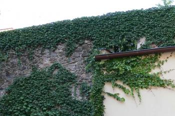 Obtížně fotografovatelná část hradeb při Zelené bráně ( © Petr Turyna 09/2006)