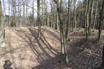  (© Michal Brůža, 03/2011)