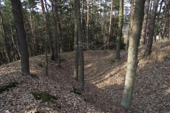  (© Michal Brůža, 03/2011)