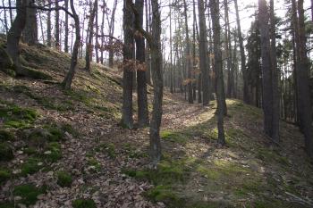  (© Michal Brůža, 03/2011)