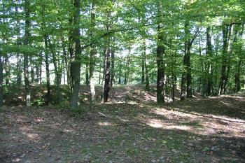 pohled na hrad od jihu (© D Dohňanský, 09/2014)