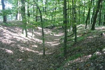 příkop a val na jihu (© D Dohňanský, 09/2014)