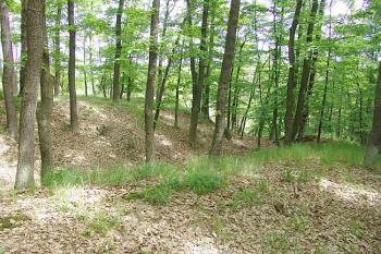 Zaoblení příkopu na jihovýchodě, vnější pohled ( © Roman Řezáč 05/2006)