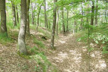 Čelní příkop ( © Roman Řezáč 05/2006)