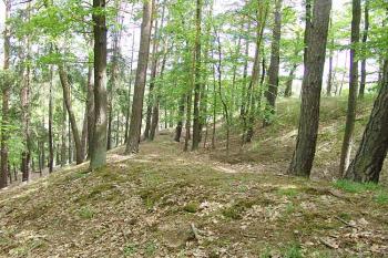 Příkop na západní straně ( © Roman Řezáč 05/2006)