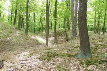 Zaoblení příkopu na jihozápadní straně ( © Roman Řezáč 05/2006)