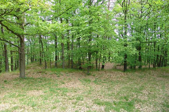 Zňátky