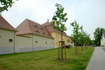 Cesta k zámku z parkoviště ( © Aleš Marek 05/2006)
