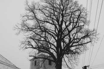 Pohled ke kostelu z návsi ( © Ivan Grisa 12/2009)