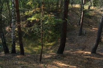 Nad hradem (© ip 09/2005)