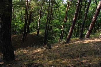 Příkop a valy (© Ivana Poláková 09/2005)