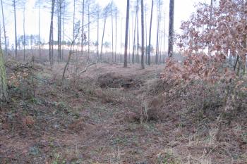 záp.příkop, vlevo tvrz (© D Dohňanský, 12/2017)