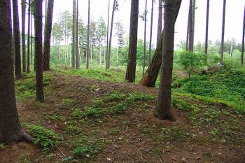 Zachovaný val na západní straně ( © Roman Řezáč 06/2006)
