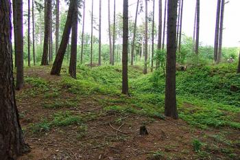 Nejzachovalejší, severozápadní část tvrziště ( © Roman Řezáč 06/2006)