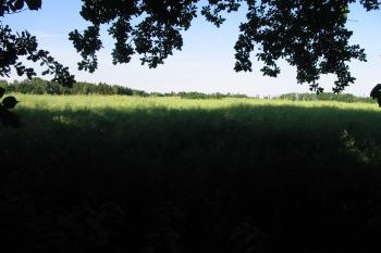 pohled z úpatí tvrze na rozlehlá pole na jz. (© D Dohňanský, 06/2015)