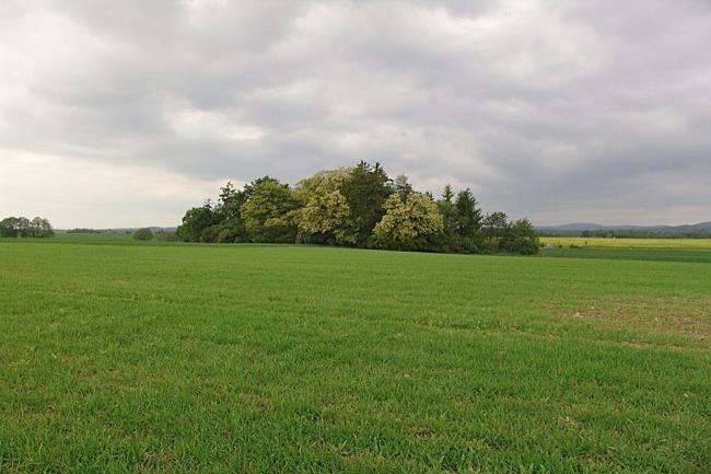 Otěhřiby