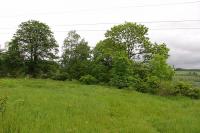 Domašov nad Bystřicí