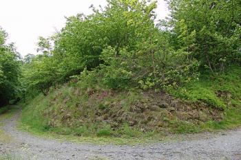 Skalnatý cíp tvrziště na jihovýchodě ( © Roman Řezáč 06/2006)