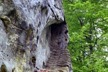  (©2003 Jiří Čížek)