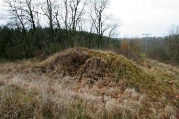 Pohled přes šíjový příkop na čelní stranu tvrziště ( © Filip Matoušek 11/2005)