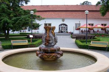 Lázně Slatinice - Fontána Lázeňská květina (© Ivo Rozehnal, 06/2011)
