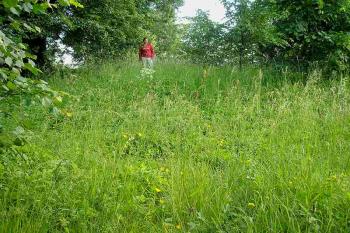 pohled ze zbytku východního příkopu na jádro tvrze ( © Ondřej Štěpánek 06/2006)