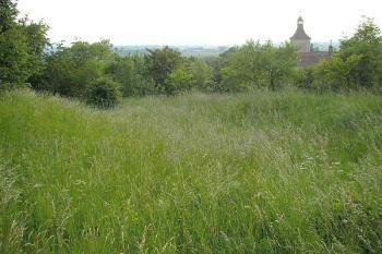 průběh severního valu, z cela vlevo pahorek jádra, v pozadí zámek ( © Ondřej Štěpánek 06/2006)