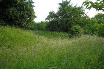 přechod severního příkopu a valu v západní, vlevo jádro tvrze ( © Ondřej Štěpánek 06/2006)
