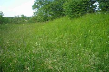 severní příkop a val, vpravo jádro tvrze ( © Ondřej Štěpánek 06/2006)