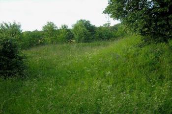 pohled ze západního příkopu na severní příkop a zřetelnou hranu valu, vpravo pahorek jádra tvrze ( © Ondřej Štěpánek 06/2006)
