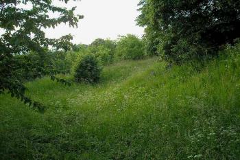 pohled od zaneseného jižního příkopu na západní příkop a val, vpravo jádro tvrze ( © Ondřej Štěpánek 06/2006)