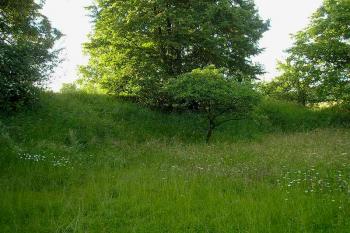 pohled na odstraněnou východní stranu tvrze ( © Ondřej Štěpánek 06/2006)