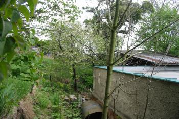 západní část tvrziště / bez údržby/ (© D Dohňanský, 06/2014)
