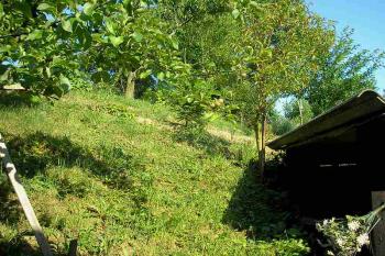 svažující se jižní strana tvrziště směrem k Moštěnce ( © Ondřej Štěpánek 06/2006)
