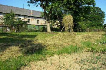 zachovaná plocha jádra tvrziště, v pozadí jižní strana dvora (mladší tvrze) ( © Ondřej Štěpánek 06/2006)