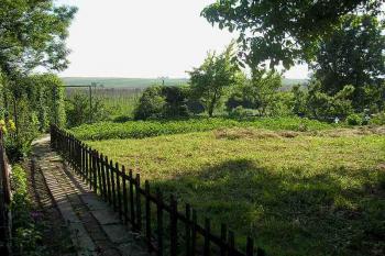 zachovaná plocha jádra tvrziště, v pozadí chmelnice ( © Ondřej Štěpánek 06/2006)