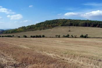vrch Bacín (© Stanislav Drda 09/2006)