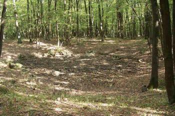jezírko na vrchu, toho času vyschlé (© Stanislav Drda 09/2006)