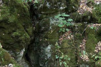 obětní puklina (© Stanislav Drda 09/2006)